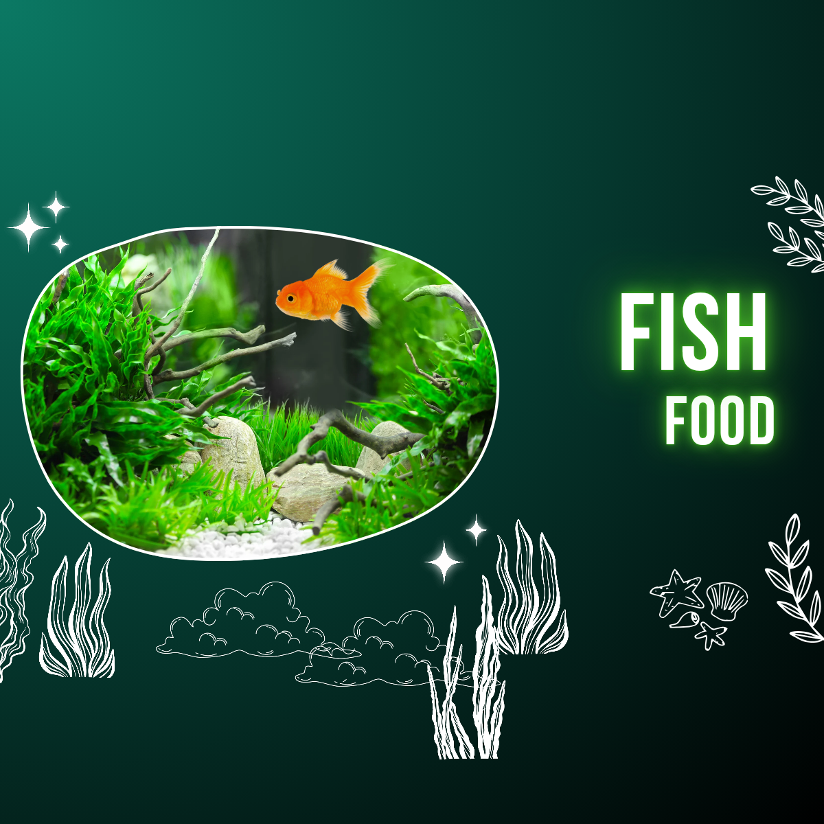 All Fish Products| Feedipet