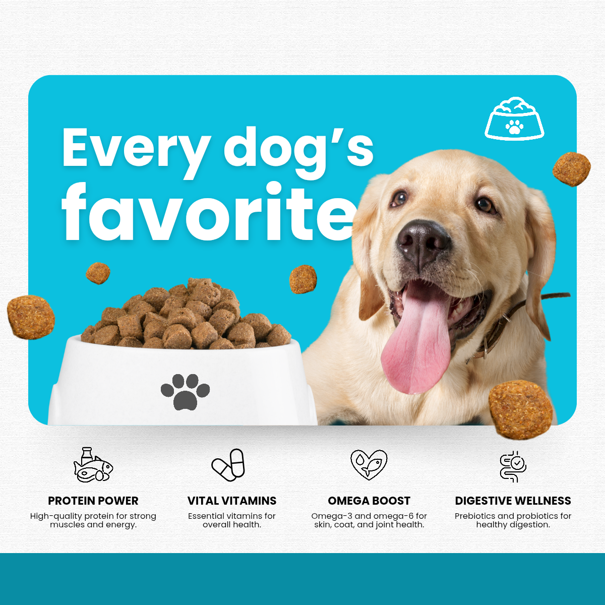 Shop All Dog Products | Feedipet