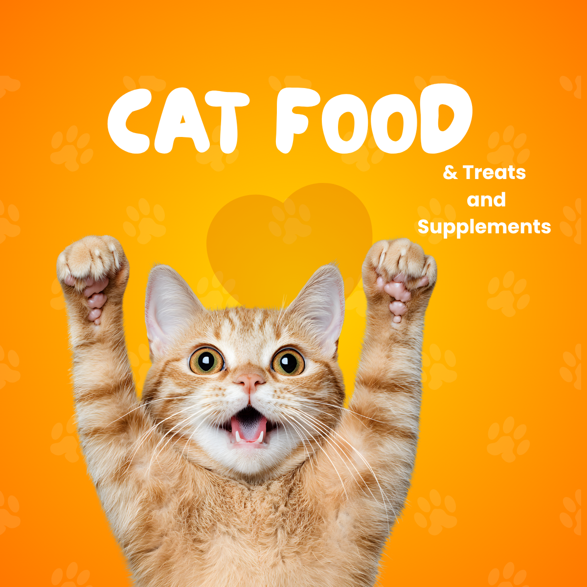 Shop All Cat Products | Feedipet