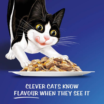 PURINA Felix Favorites Selection Pouch Wet Cat Food| 12 × 85g