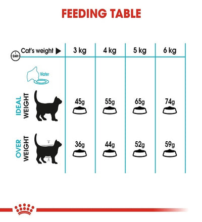 Royal Canin Urinary Care Adult Dry Cat Food | 2 kg