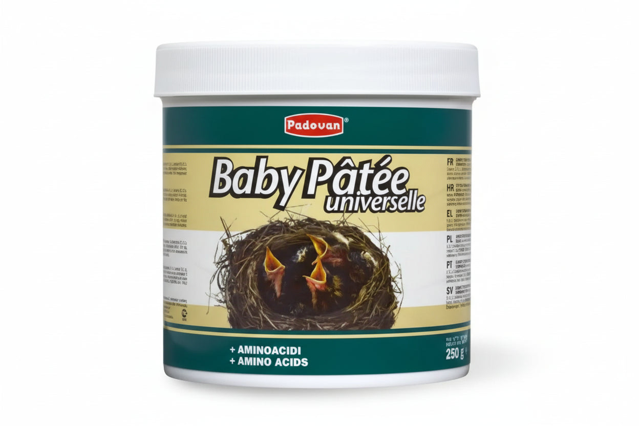 Padovan Baby Patee Parrots