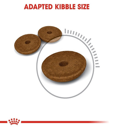 Royal Canin Digestive Care Adult Dry Cat Food