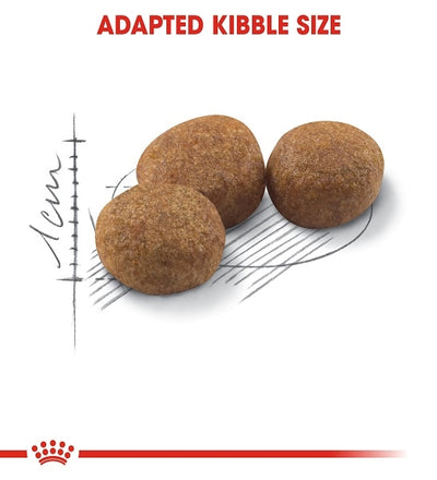 Royal Canin Sterilised 37 Adult Dry Cat Food