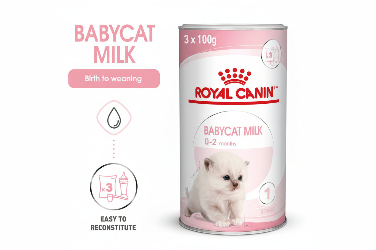 Feline Health Nutrition Baby Cat Milk | 300 g
