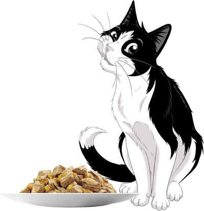 PURINA Felix Favorites Selection Pouch Wet Cat Food| 12 × 85g