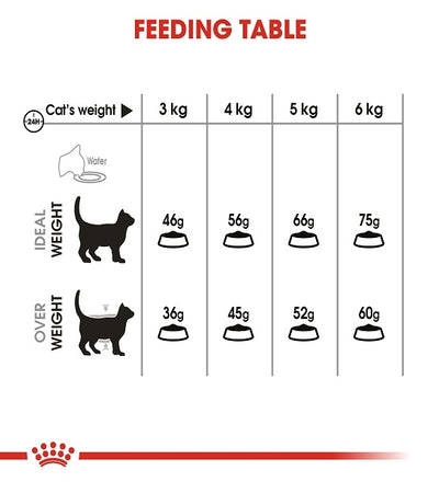 Royal Canin Dental Care Adult Dry Cat Food | 1.5KG