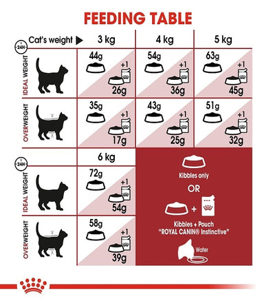 Royal Canin Regular Fit 32 Adult Dry Cat Food