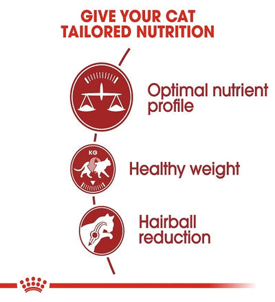 Royal Canin Regular Fit 32 Adult Dry Cat Food