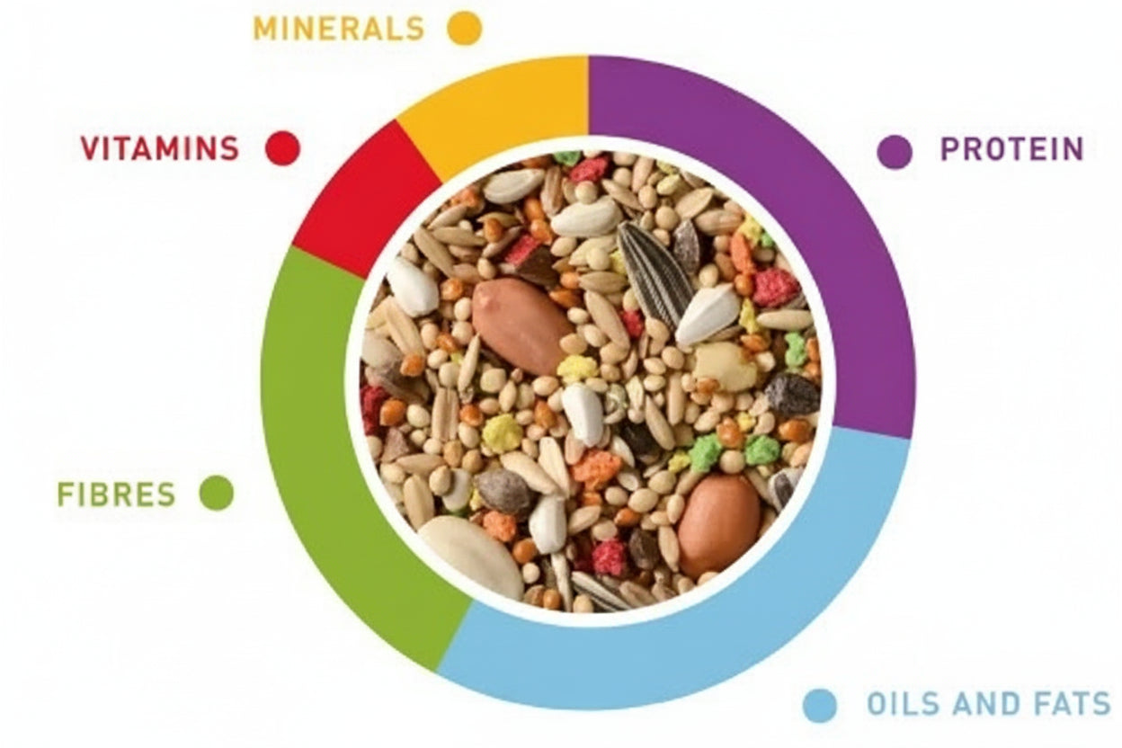 Padovan Grandmix Parrocchetti