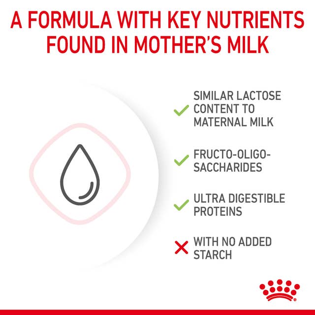 Feline Health Nutrition Baby Cat Milk | 300 g