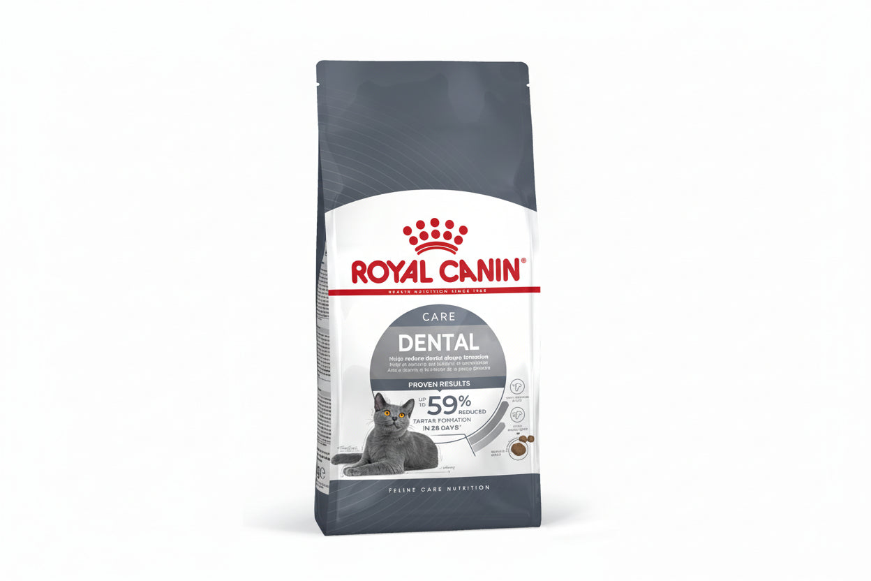 Royal Canin Dental Care Adult Dry Cat Food | 1.5KG