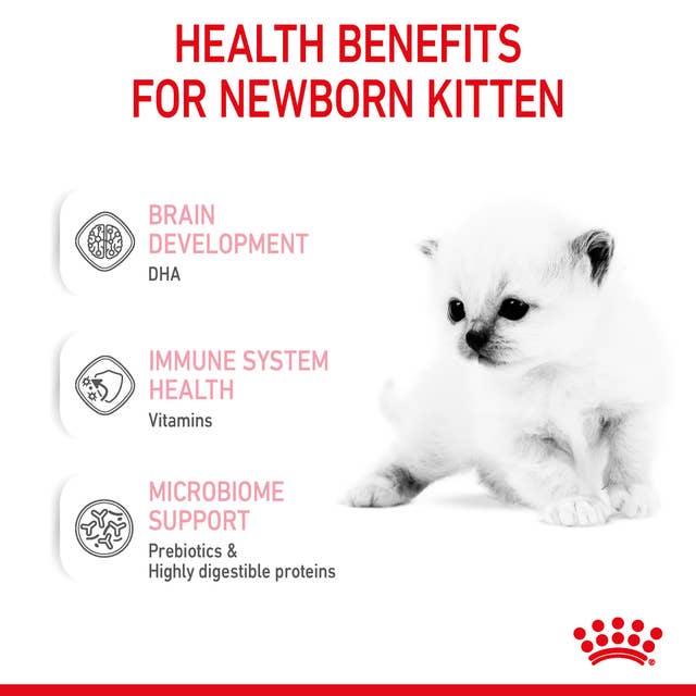 Feline Health Nutrition Baby Cat Milk | 300 g