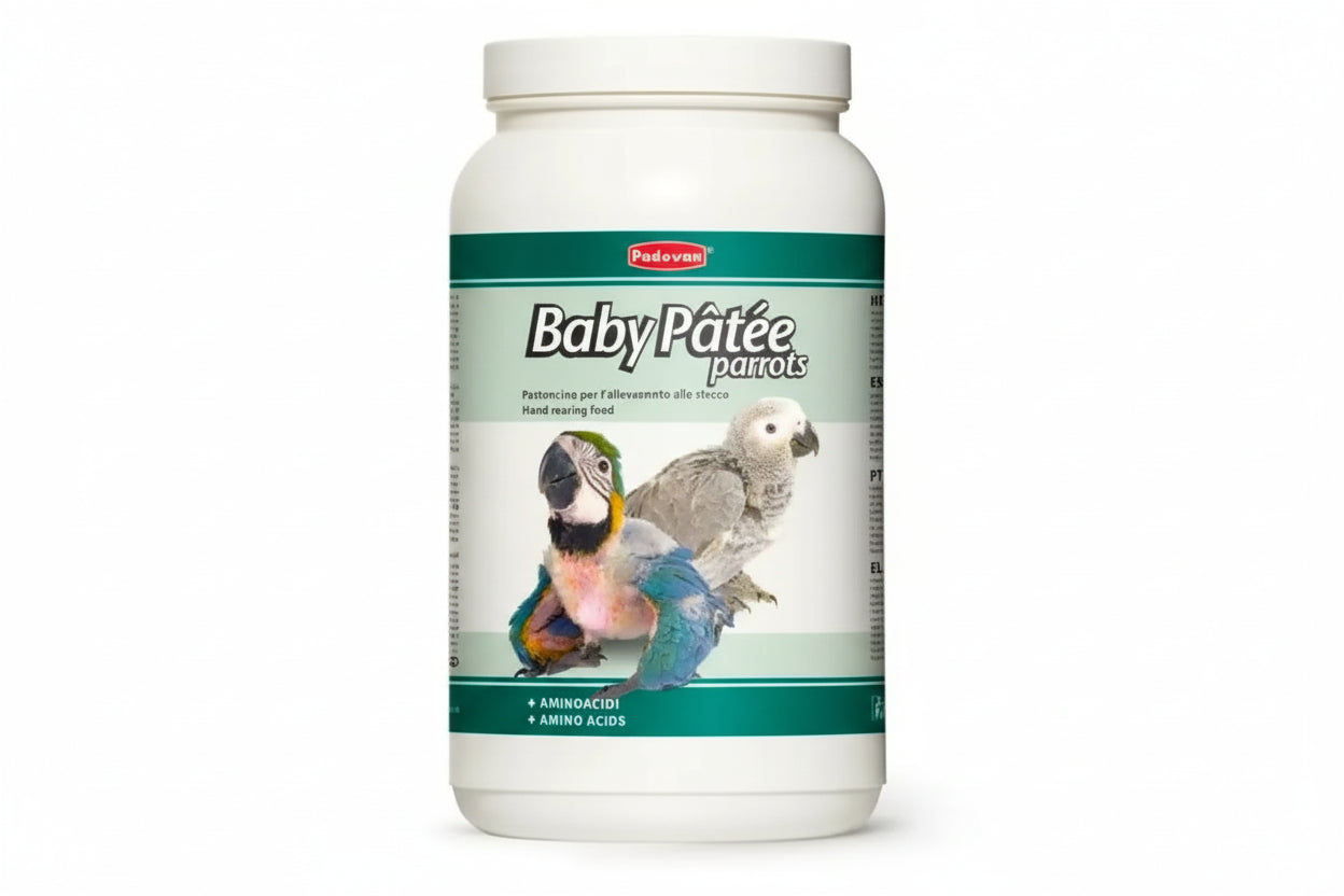 Padovan Baby Patee Parrots