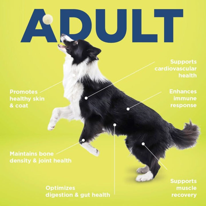 Vetericyn® all-in dog supplement – adult | 90 Tab.