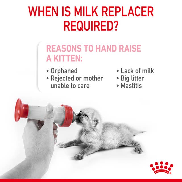 Feline Health Nutrition Baby Cat Milk | 300 g